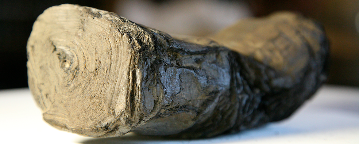 013 - HercScroll -Courtesy of The Digital Restoration Initiative, The University of Kentucky_